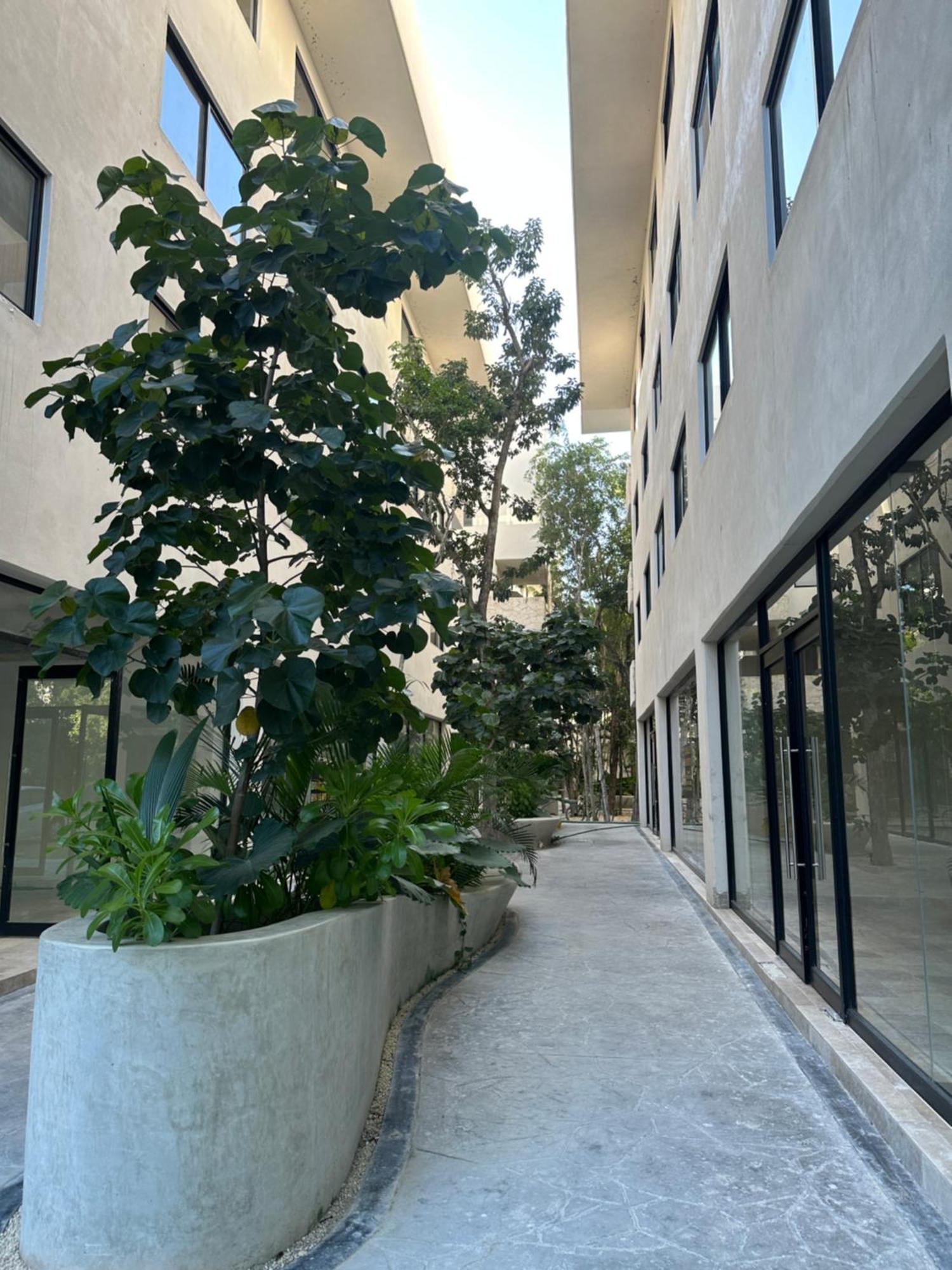 View Apartamento *